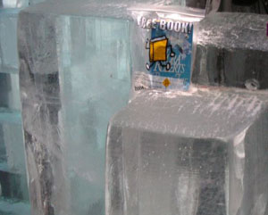Bookcrossing's mascot freezing his ... in the Ice Bar